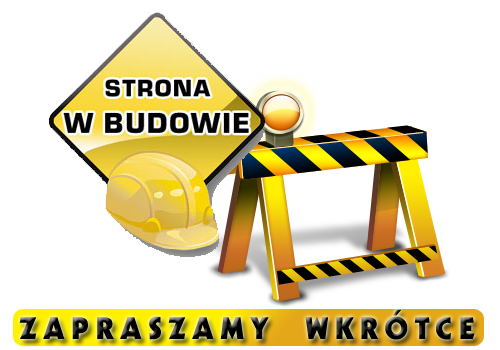 budowa